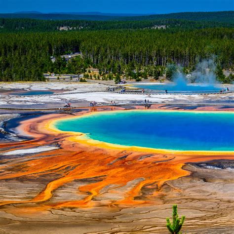 A closer look at Yellowstone’s distinctive scenery or wildlife.